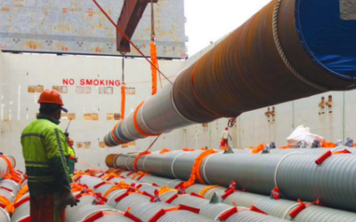 Dolphin Head Life Extension