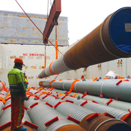 Dolphin Head Life Extension